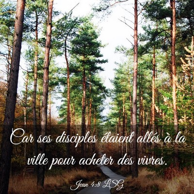 Picture 03 - Jean 4:8 LSG - Car ses disciples étaient allés à la ville - Bible Verse Picture