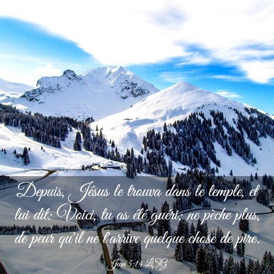 Picture 03 - Jean 5:14 LSG - Depuis, Jésus le trouva dans le temple, et lui - Bible Verse Picture