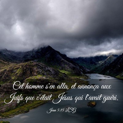 Picture 03 - Jean 5:15 LSG - Cet homme s'en alla, et annonça aux Juifs que - Bible Verse Picture