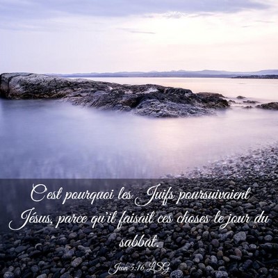Picture 03 - Jean 5:16 LSG - C'est pourquoi les Juifs poursuivaient Jésus, - Bible Verse Picture