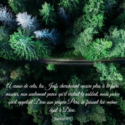 Picture 03 - Jean 5:18 LSG - A cause de cela, les Juifs cherchaient encore - Bible Verse Picture