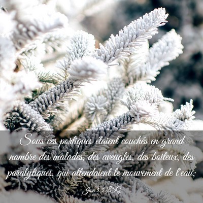 Picture 03 - Jean 5:3 LSG - Sous ces portiques étaient couchés en grand - Bible Verse Picture