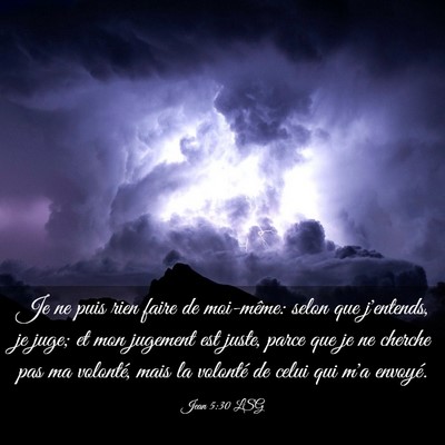 Picture 03 - Jean 5:30 LSG - Je ne puis rien faire de moi-même: selon que - Bible Verse Picture