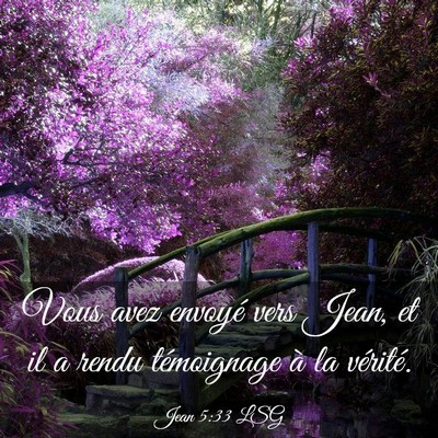 Picture 03 - Jean 5:33 LSG - Vous avez envoyé vers Jean, et il a rendu - Bible Verse Picture