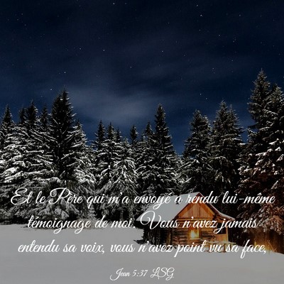 Picture 03 - Jean 5:37 LSG - Et le Père qui m'a envoyé a rendu lui-même - Bible Verse Picture