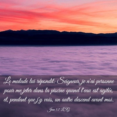 Picture 03 - Jean 5:7 LSG - Le malade lui répondit: Seigneur, je n'ai - Bible Verse Picture
