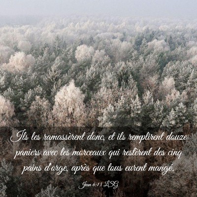 Picture 03 - Jean 6:13 LSG - Ils les ramassèrent donc, et ils remplirent - Bible Verse Picture