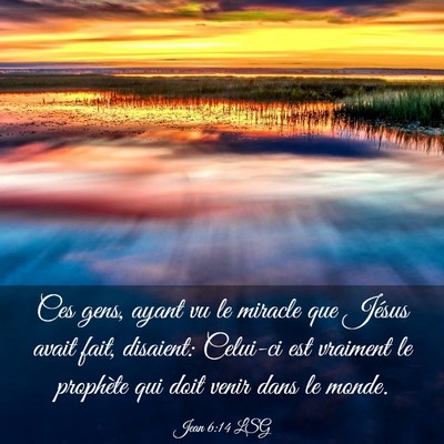 Picture 03 - Jean 6:14 LSG - Ces gens, ayant vu le miracle que Jésus avait - Bible Verse Picture