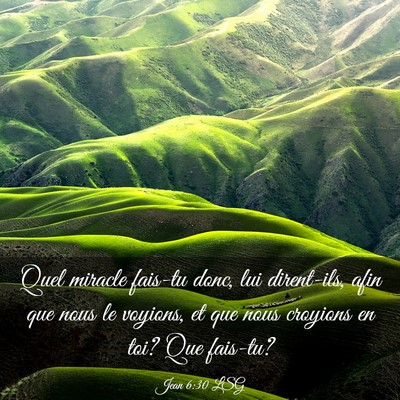 Picture 03 - Jean 6:30 LSG - Quel miracle fais-tu donc, lui dirent-ils, afin - Bible Verse Picture