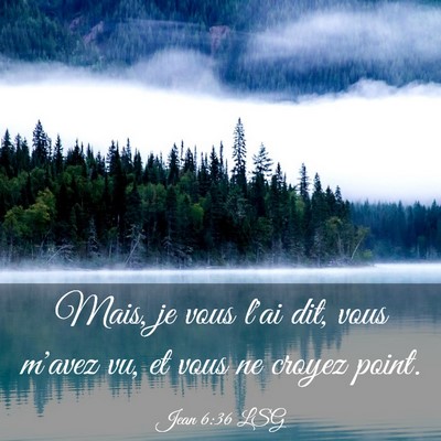 Picture 03 - Jean 6:36 LSG - Mais, je vous l'ai dit, vous m'avez vu, et vous - Bible Verse Picture