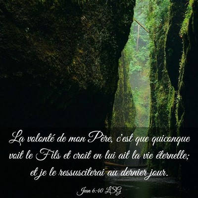 Picture 03 - Jean 6:40 LSG - La volonté de mon Père, c'est que quiconque - Bible Verse Picture