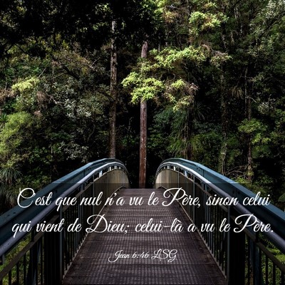 Picture 03 - Jean 6:46 LSG - C'est que nul n'a vu le Père, sinon celui qui - Bible Verse Picture