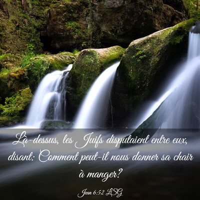 Picture 03 - Jean 6:52 LSG - Là-dessus, les Juifs disputaient entre eux, - Bible Verse Picture