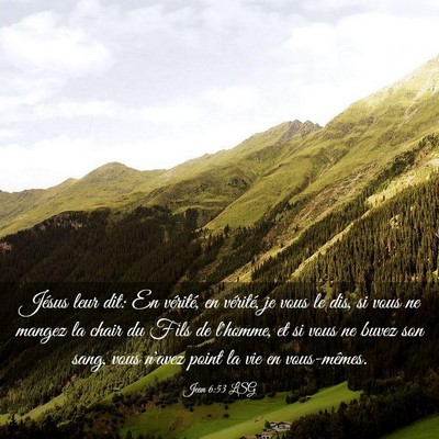 Picture 03 - Jean 6:53 LSG - Jésus leur dit: En vérité, en vérité, je - Bible Verse Picture