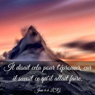 Picture 03 - Jean 6:6 LSG - Il disait cela pour l'éprouver, car il savait ce - Bible Verse Picture