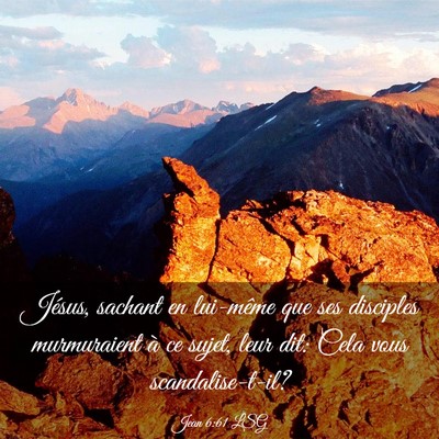 Picture 03 - Jean 6:61 LSG - Jésus, sachant en lui-même que ses disciples - Bible Verse Picture