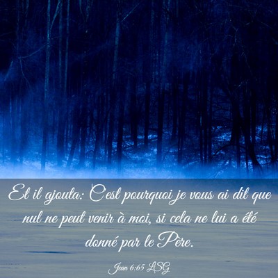 Picture 03 - Jean 6:65 LSG - Et il ajouta: C'est pourquoi je vous ai dit que - Bible Verse Picture