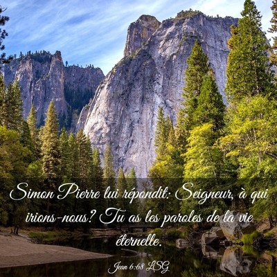 Picture 03 - Jean 6:68 LSG - Simon Pierre lui répondit: Seigneur, à qui - Bible Verse Picture