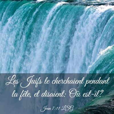 Picture 03 - Jean 7:11 LSG - Les Juifs le cherchaient pendant la fête, et - Bible Verse Picture