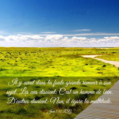Picture 03 - Jean 7:12 LSG - Il y avait dans la foule grande rumeur à son - Bible Verse Picture