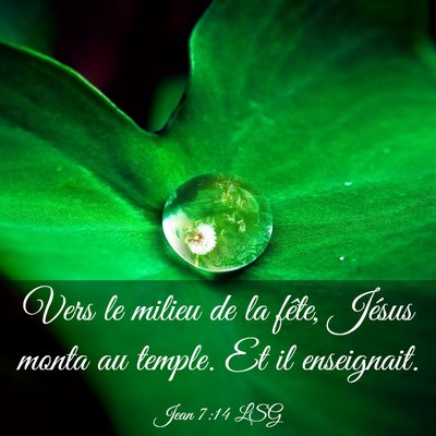 Picture 03 - Jean 7:14 LSG - Vers le milieu de la fête, Jésus monta au - Bible Verse Picture