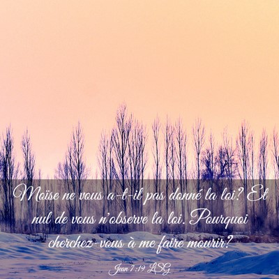 Picture 03 - Jean 7:19 LSG - Moïse ne vous a-t-il pas donné la loi? Et nul - Bible Verse Picture