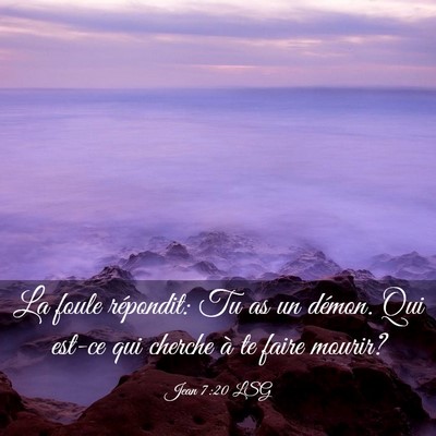 Picture 03 - Jean 7:20 LSG - La foule répondit: Tu as un démon. Qui est-ce - Bible Verse Picture