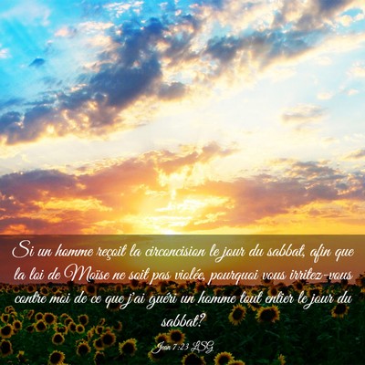 Picture 03 - Jean 7:23 LSG - Si un homme reçoit la circoncision le jour du - Bible Verse Picture