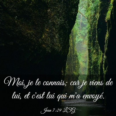 Picture 03 - Jean 7:29 LSG - Moi, je le connais; car je viens de lui, et c'est - Bible Verse Picture