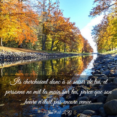 Picture 03 - Jean 7:30 LSG - Ils cherchaient donc à se saisir de lui, et - Bible Verse Picture
