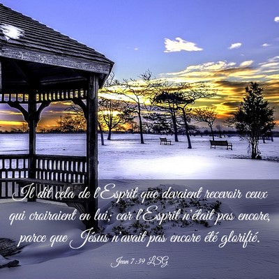 Picture 03 - Jean 7:39 LSG - Il dit cela de l'Esprit que devaient recevoir - Bible Verse Picture