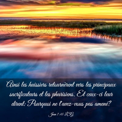Picture 03 - Jean 7:45 LSG - Ainsi les huissiers retournèrent vers les - Bible Verse Picture