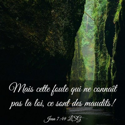Picture 03 - Jean 7:49 LSG - Mais cette foule qui ne connaît pas la loi, ce - Bible Verse Picture