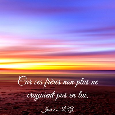 Picture 03 - Jean 7:5 LSG - Car ses frères non plus ne croyaient pas en - Bible Verse Picture