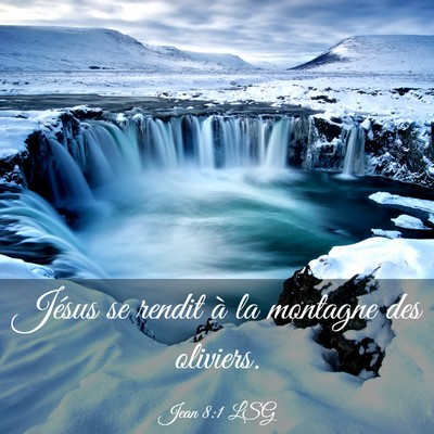 Picture 03 - Jean 8:1 LSG - Jésus se rendit à la montagne des - Bible Verse Picture