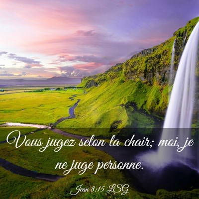 Picture 03 - Jean 8:15 LSG - Vous jugez selon la chair; moi, je ne juge - Bible Verse Picture