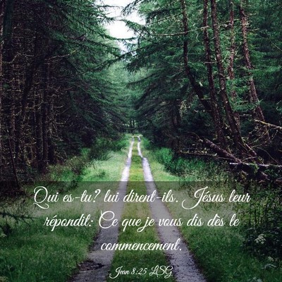 Picture 03 - Jean 8:25 LSG - Qui es-tu? lui dirent-ils. Jésus leur répondit: - Bible Verse Picture