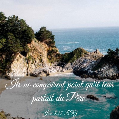 Picture 03 - Jean 8:27 LSG - Ils ne comprirent point qu'il leur parlait du - Bible Verse Picture