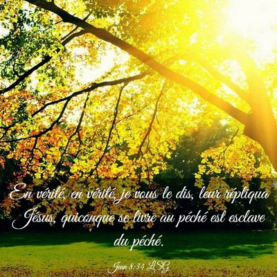 Picture 03 - Jean 8:34 LSG - En vérité, en vérité, je vous le dis, leur - Bible Verse Picture