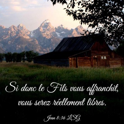 Picture 03 - Jean 8:36 LSG - Si donc le Fils vous affranchit, vous serez - Bible Verse Picture