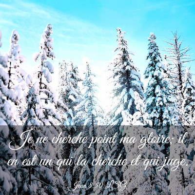 Picture 03 - Jean 8:50 LSG - Je ne cherche point ma gloire; il en est un qui - Bible Verse Picture