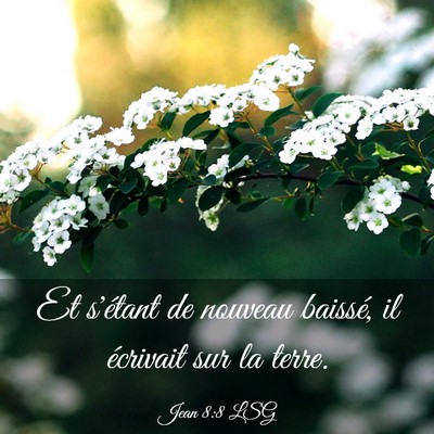 Picture 03 - Jean 8:8 LSG - Et s'étant de nouveau baissé, il écrivait sur - Bible Verse Picture