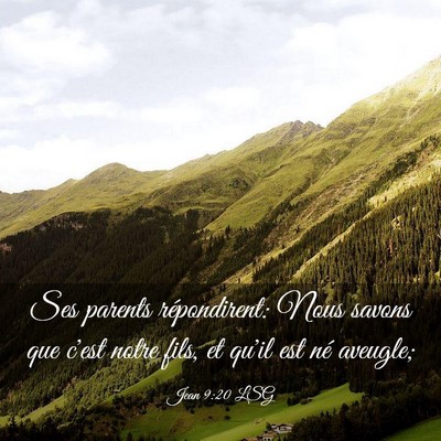 Picture 03 - Jean 9:20 LSG - Ses parents répondirent: Nous savons que c'est - Bible Verse Picture