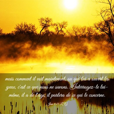 Picture 03 - Jean 9:21 LSG - mais comment il voit maintenant, ou qui lui a - Bible Verse Picture