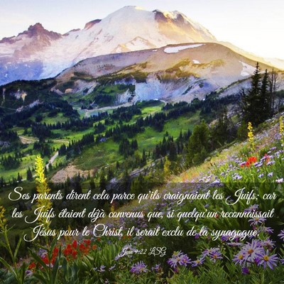 Picture 03 - Jean 9:22 LSG - Ses parents dirent cela parce qu'ils craignaient - Bible Verse Picture