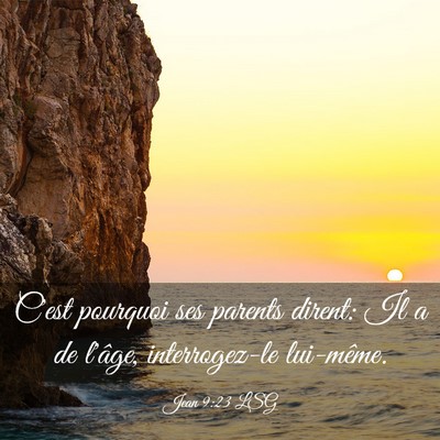 Picture 03 - Jean 9:23 LSG - C'est pourquoi ses parents dirent: Il a de - Bible Verse Picture