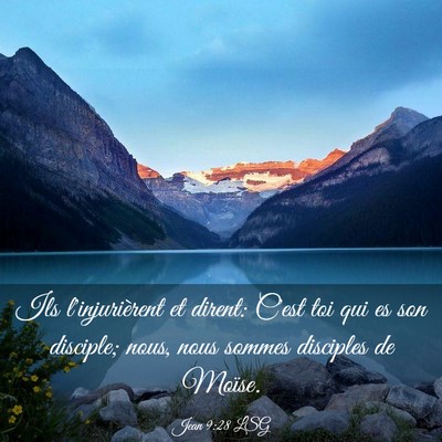 Picture 03 - Jean 9:28 LSG - Ils l'injurièrent et dirent: C'est toi qui es - Bible Verse Picture