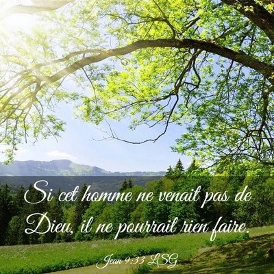 Picture 03 - Jean 9:33 LSG - Si cet homme ne venait pas de Dieu, il ne - Bible Verse Picture