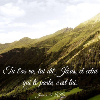 Picture 03 - Jean 9:37 LSG - Tu l'as vu, lui dit Jésus, et celui qui te - Bible Verse Picture