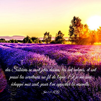 Picture 03 - Job 1:15 LSG - des Sabéens se sont jetés dessus, les ont - Bible Verse Picture